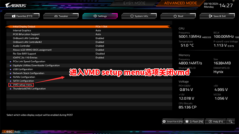 进入vmd选项